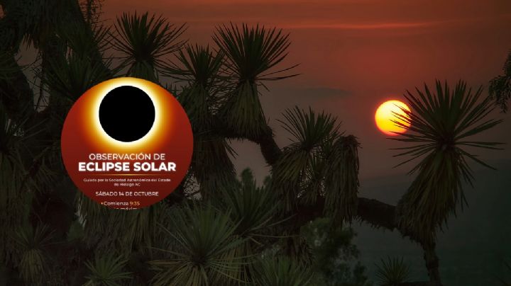 Eclipse solar: ¿dónde verlo de manera segura en Pachuca?