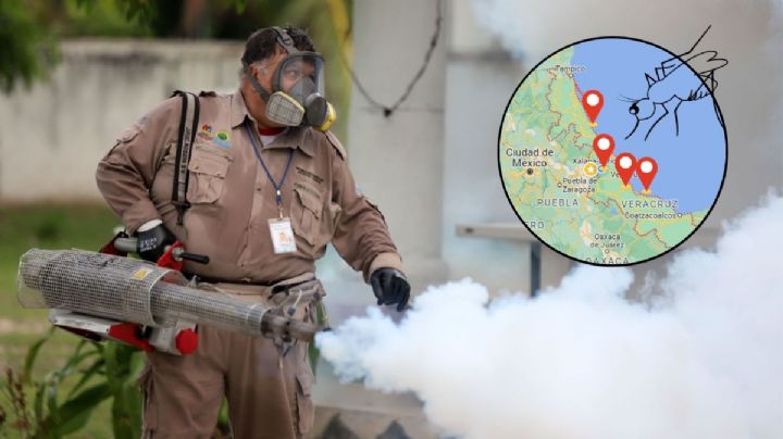 Estos son los 4 municipios de Veracruz con más casos de dengue