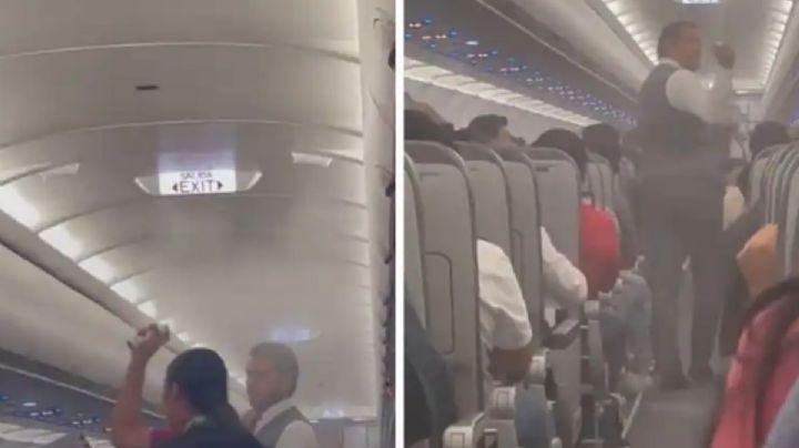 ¿Invasión de mosquitos? Insectos provocan caos en vuelo de Volaris a CDMX