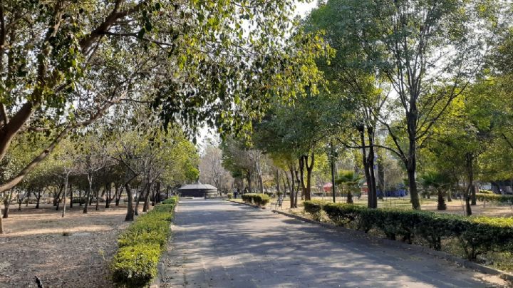 Los 5 lugares que puedes visitar si quieres caminar, reflexionar, comer y hasta pasear a tu perrito en un fin de semana