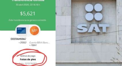 ¡Que no te caiga el SAT! Estos son los conceptos de pago que debes evitar en las transferencias bancarias