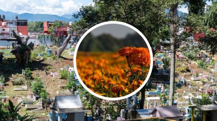 ¿Visitarás el panteón de Córdoba por Día de Muertos? Toma en cuenta este nuevo horario