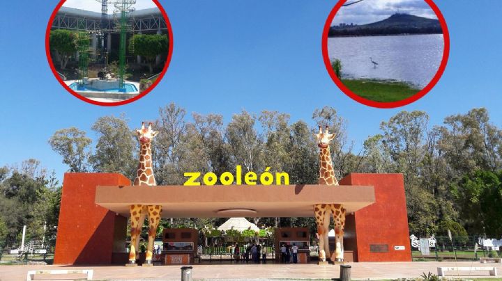 ¿Desde cuándo habrá entrada gratis sábado y domingo al zoológico, explora, deportivas y parques?