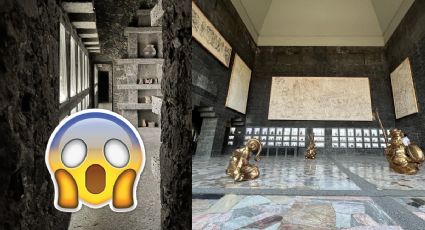 Los 3 museos de la CDMX que debes conocer sí o sí y hasta puedes llevar a tu perrito