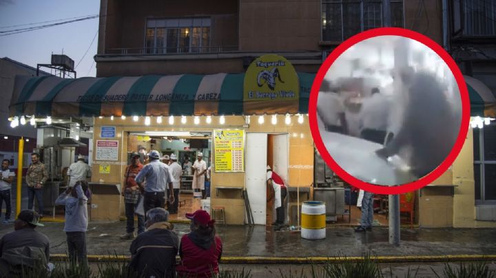 Taquería El Borrego Viudo: ¿Dónde se ubica este lugar de la CDMX? Esta es su historia