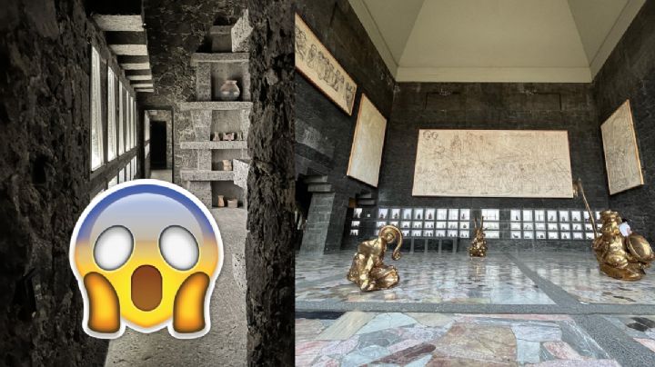 Los 3 museos de la CDMX que debes conocer sí o sí y hasta puedes llevar a tu perrito