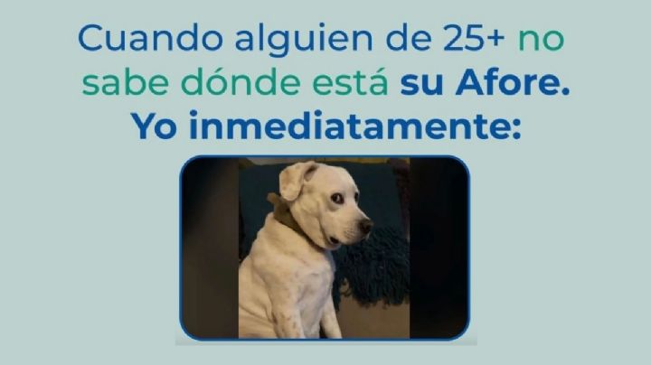 ¿Tienes más de 25 años y no sabes en dónde está tu Afore? Atento a esta información