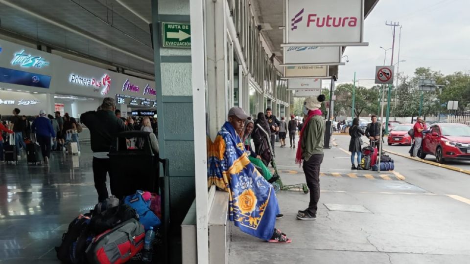 También sufren las inclemencias del clima, pero viviendo en las calles