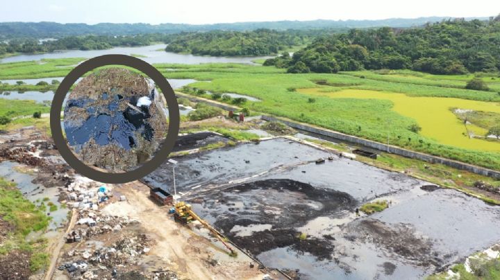 Servicios Industriales Fénix, empresa acusada de daño ambiental en Veracruz