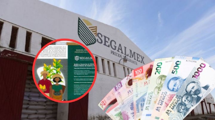 Corrupción en Segalmex: paga 328,000 pesos a favorita de Adán Augusto para promover programas