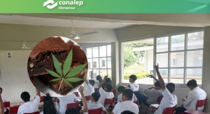 Estudiantes se intoxican con brownie con mariguana en Conalep de Atoyac, Veracruz