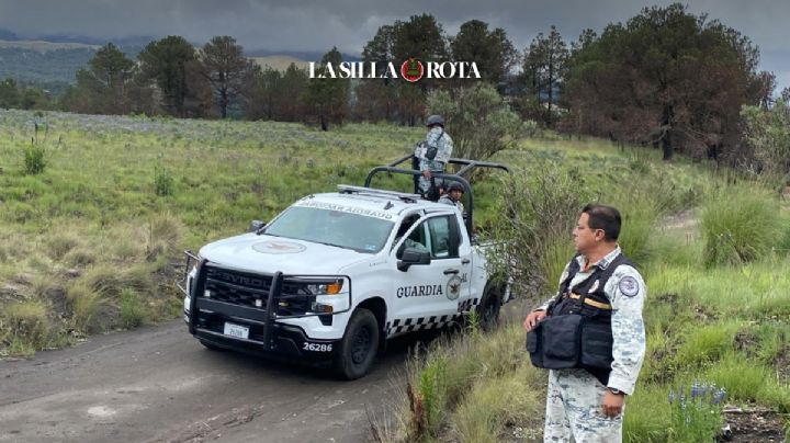 "Casi no queda nada, todo se lo han llevado", talamontes azotan Amecameca