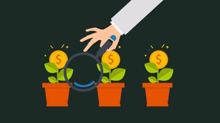 ¿Quieres invertir tus ahorros? Condusef revela el "secreto" para no morir en el intento