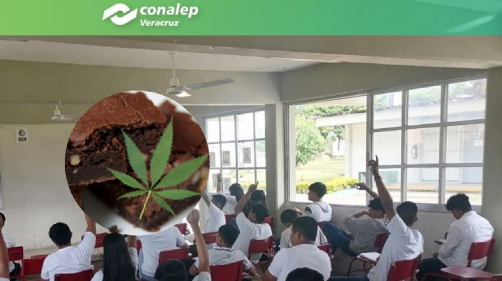Estudiantes se intoxican con brownie con mariguana en Conalep de Atoyac, Veracruz