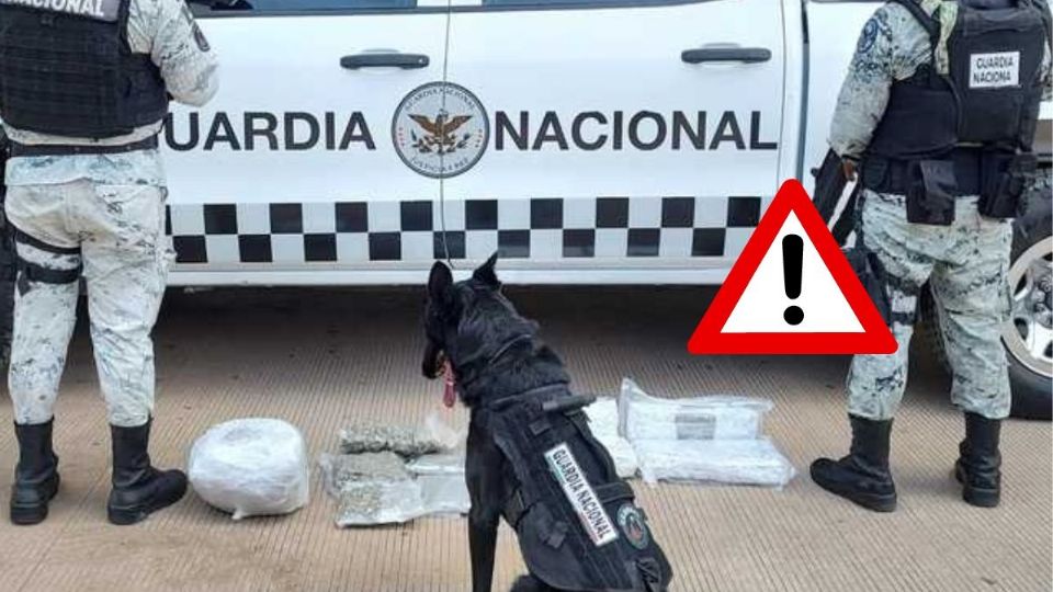 En paqueterías del estado de Veracruz, aseguran envoltorios con marihuana