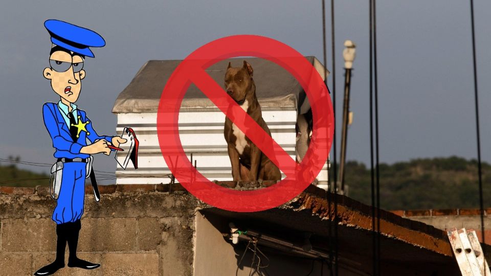 El tener confinado a un animal de compañía en lugares solitarios y expuestos a las inclemencias del tiempo se considera maltrato animal