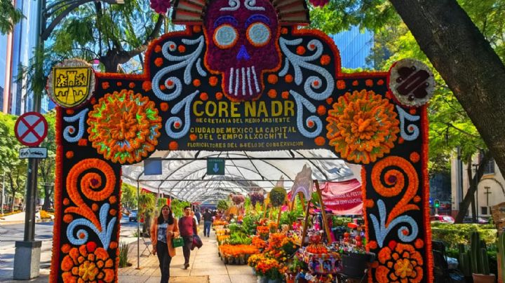 Visita la Feria del Cempasúchil este fin en Paseo de la Reforma