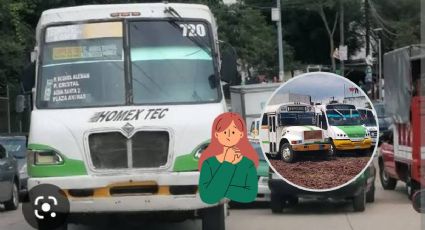 ¿Desapareció la ruta de camiones Homex - Tec en Xalapa? Esto se sabe