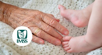 IMSS: ¿Los abuelos ya podrán darle seguro médico a sus nietos? Esto sabemos