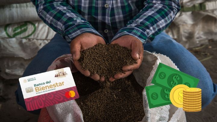 Bienestar: ¿Quiénes pueden recibir hasta 24,000 pesos? Este es el aviso de último momento