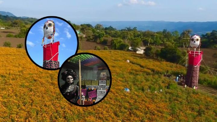 Paxtepec, pueblito cerca de Xalapa con campos de cempasúchil que puedes visitar