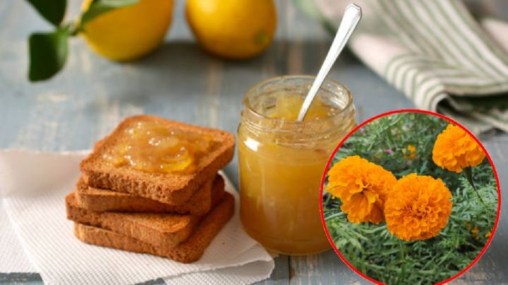 ¿Mermelada de cempasúchil? Anímate a prepararla