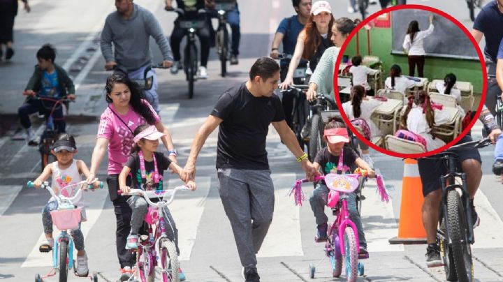 La nueva materia que quieren que incluya la SEP en primaria y secundaria