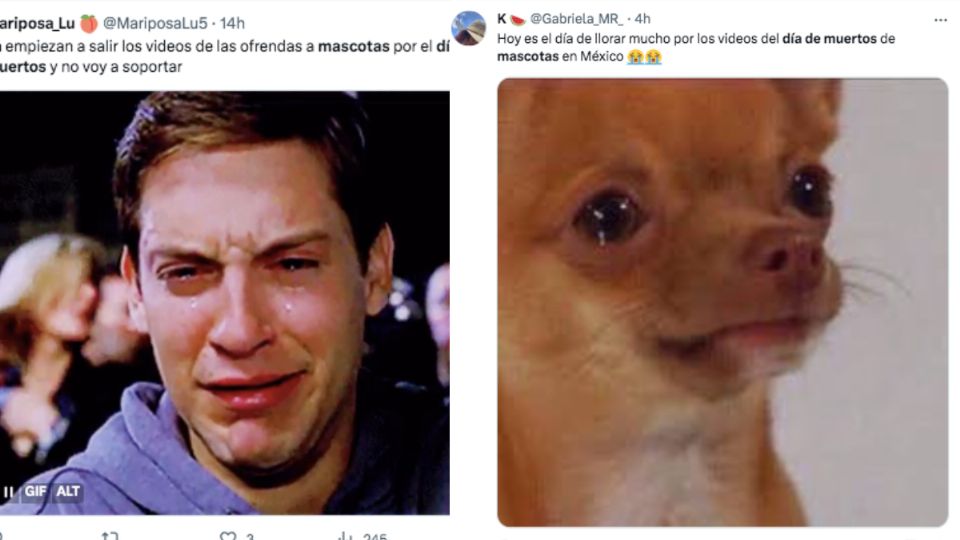 Memes Día de Muertos mascotas México.png