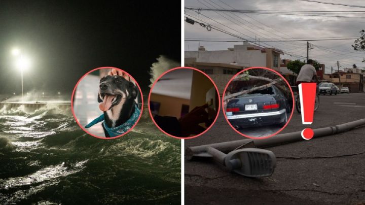 Precauciones que debes tomar por la llegada del frente frío 9 en Veracruz