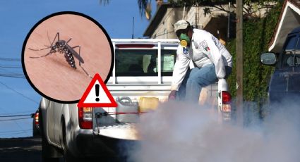 Dengue en México: Veracruz es segundo lugar nacional con casi 8,000 casos