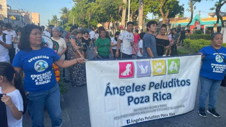 Exigen justicia por Coqueta, perrita asesinada en Poza Rica