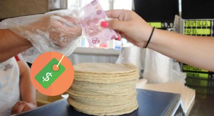 Tortilla: ¿Por qué no baja de precio?