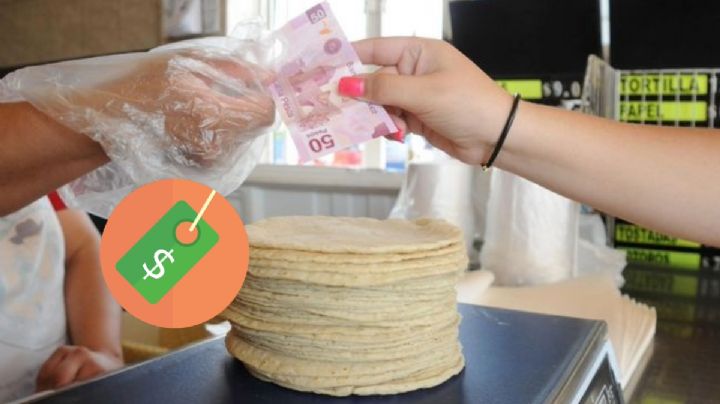 Tortilla: ¿Por qué no baja de precio?