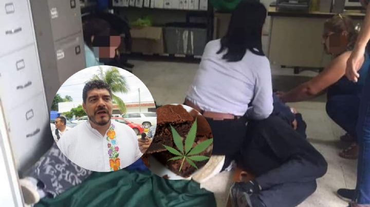 Anuncian medidas para alumnos del Conalep Veracruz por comer "brownies mágicos"