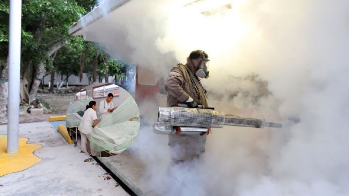 Casos de dengue en Veracruz se dispararon 500 por ciento, en 2023
