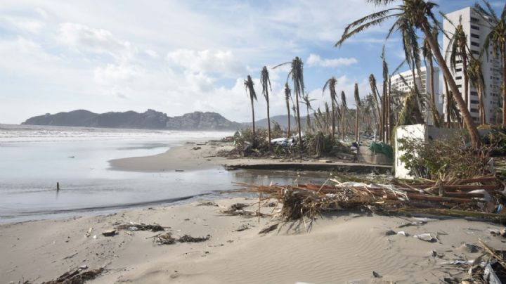 Otis, la radiografía de un fracaso
