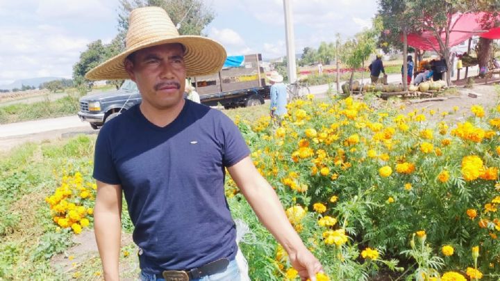 Cempasúchil, “regalo de la santa tierra y el fruto del trabajo”: floricultores de Doxey