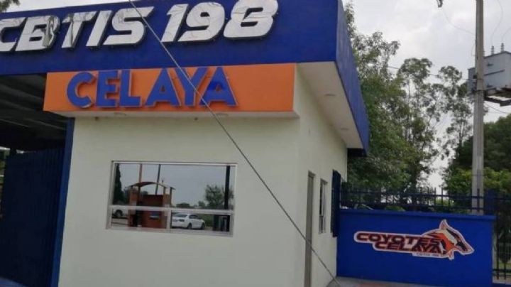 Llegan las chinches a Celaya: alumnos reportan picaduras en CBTIS 198