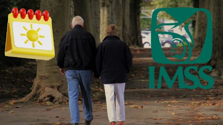 Pensión IMSS: La RAZÓN por la que deberías solicitar tu pensión hasta el próximo año