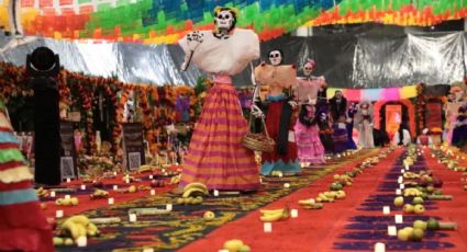 Dan Récord Guinness a Veracruz por el altar de muertos más grande del mundo