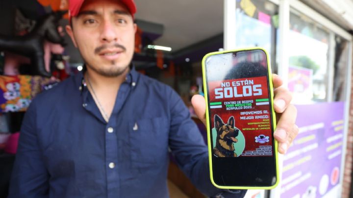 Piden ayuda para los animales afectados por el huracán Otis en Acapulco