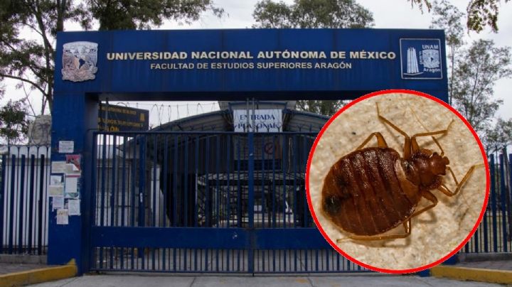 Chinches en la UNAM: también cierra FES Aragón
