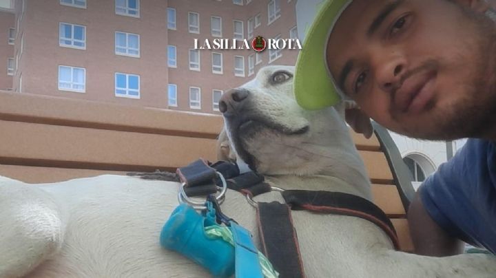 Beethoven, el perro migrante que cruzó México a bordo de La Bestia, recibe asilo en EU