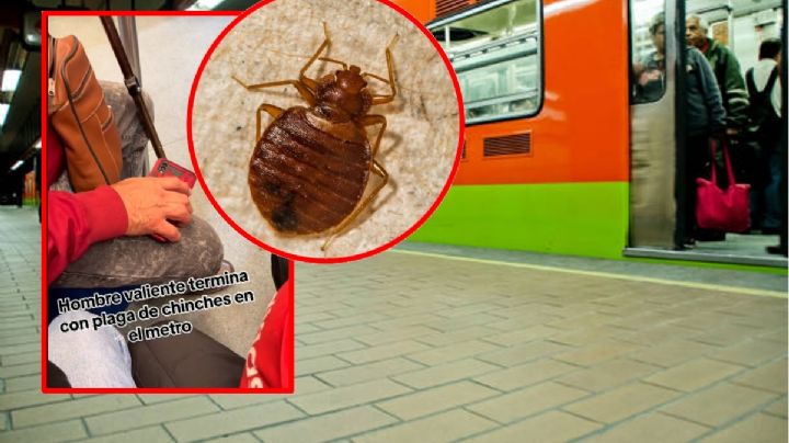 VIDEO: Vuelven las chinches al Metro; adulto mayor las mata con su bastón