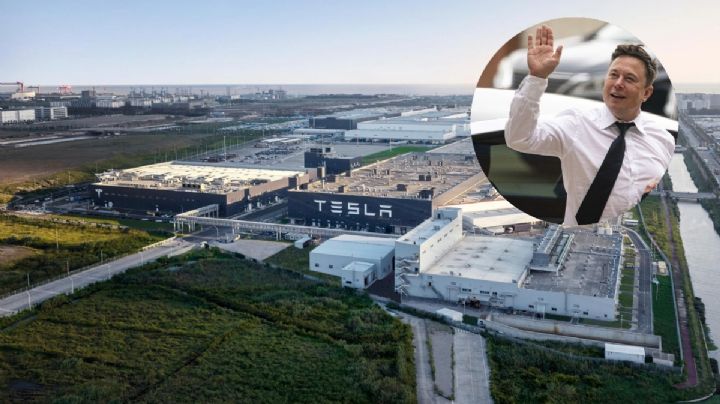 Samuel pide a Musk apresurar construcción de planta en NL: "Les prometí Tesla a los chavos"