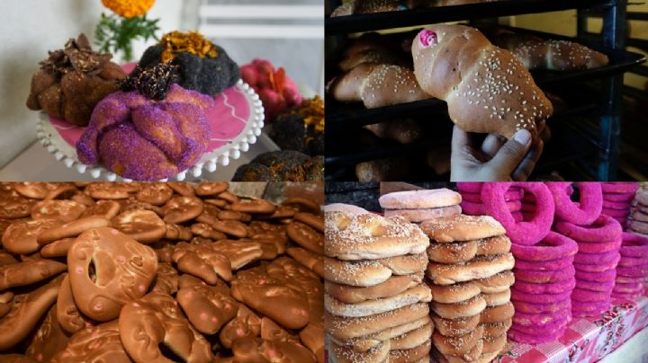 ¿Eres team pan de muerto de azúcar o pan de muerto ajonjolí? Estos son todas las variedades