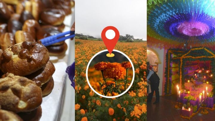 Festival del Cempasúchil 2023 será cerca de Xalapa: Cuándo y cómo llegar