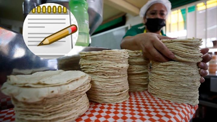 ¿Quieres emprender tu propio negocio? Checa los lineamientos para abrir una tortilleria