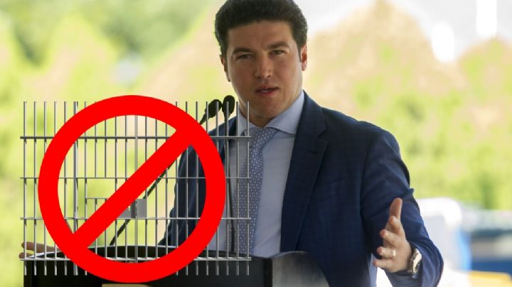 Samuel García evita la cárcel por tiempo indefinido y protege a 12 familiares