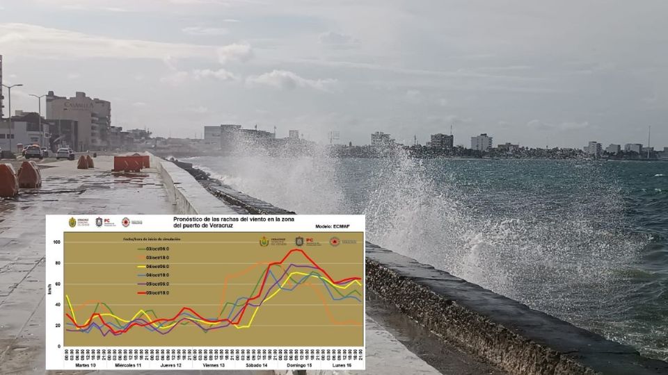 Deja norte con vientos superiores a los 40 km/h.